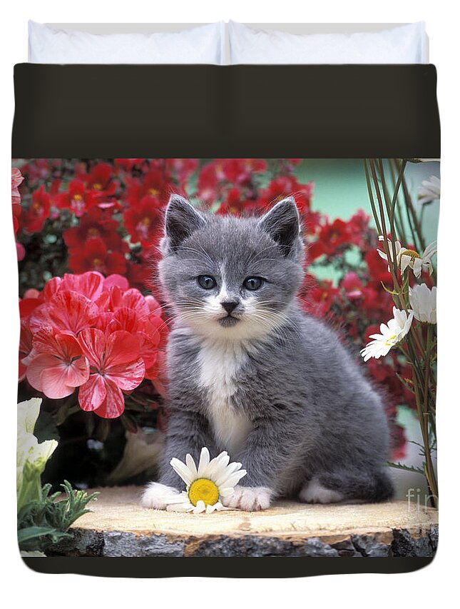 Cat Duvet Cover featuring the photograph Kitten Playing With Flower by Rolf Kopfle