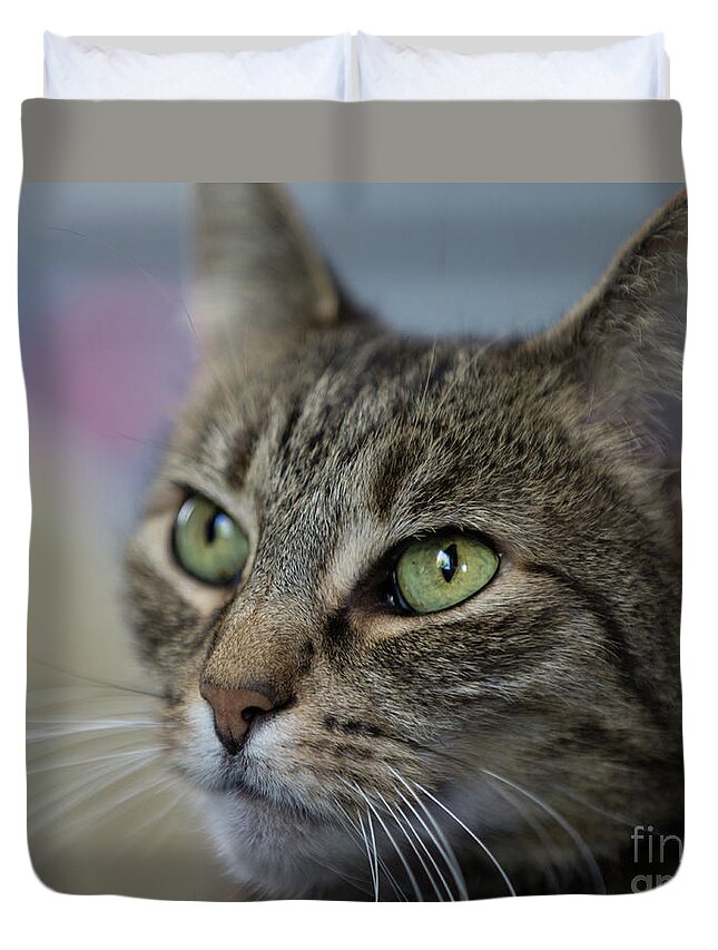 Cat Duvet Cover featuring the photograph Kitty cat by Agnes Caruso