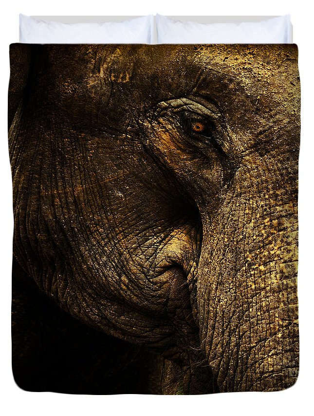 Elephant Duvet Cover featuring the photograph Knowing by Andrew Paranavitana