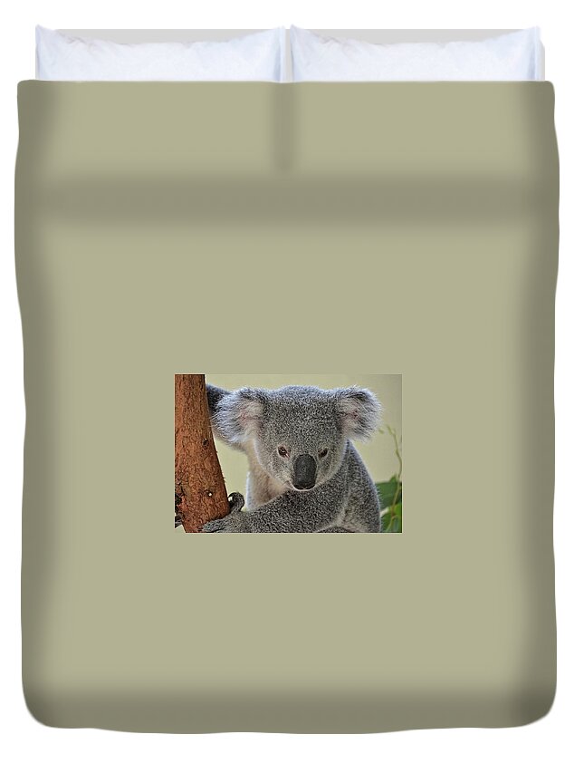 Koala Duvet Cover featuring the photograph Koala Bear by Ronda Ryan