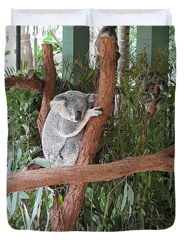 Koala Duvet Cover featuring the photograph Koala by Cassy Allsworth