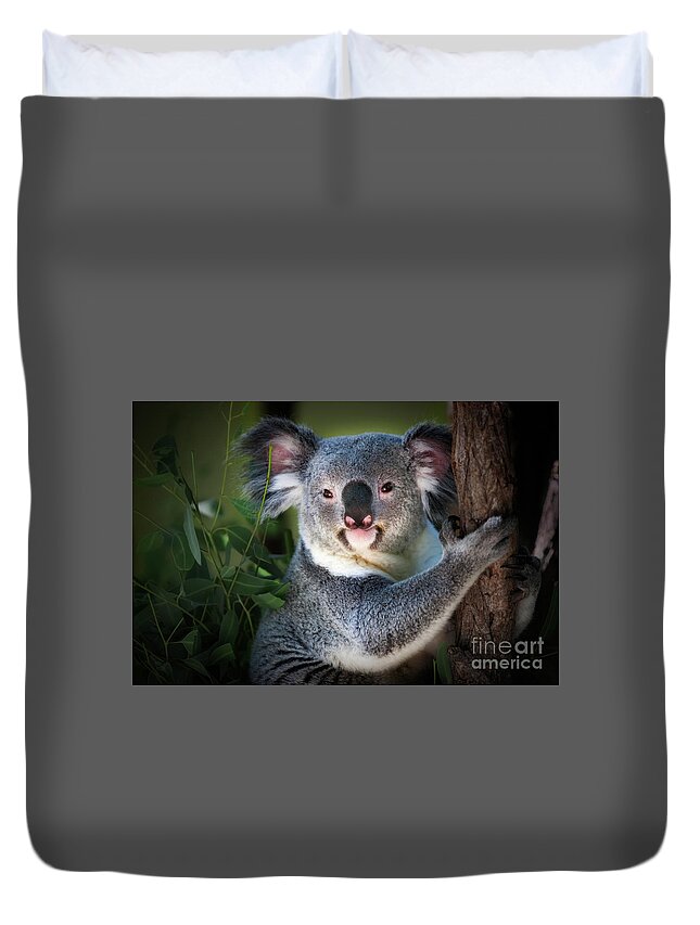 Koala Bear Duvet Cover featuring the photograph Koala by Doug Sturgess