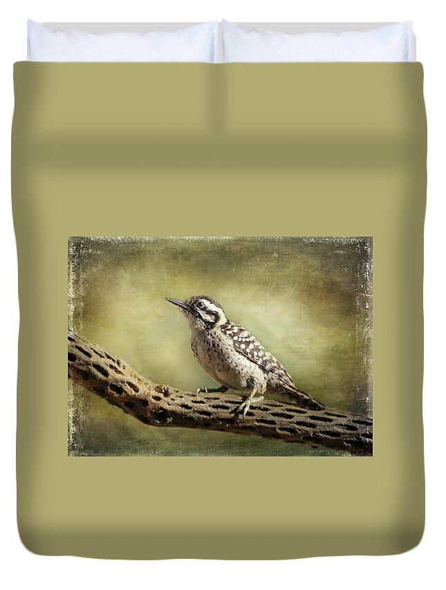 Ladder-backed Woodpecker Duvet Cover featuring the photograph Ladder-backed Woodpecker by Barbara Manis