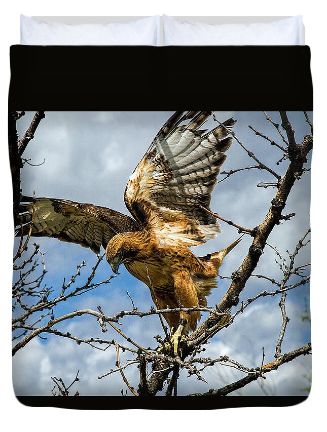 Nature Duvet Cover featuring the photograph Lady Hawke by Alana Thrower