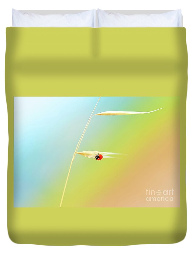 Ladybird On The Wheat Stem Duvet Cover For Sale By Anna Om