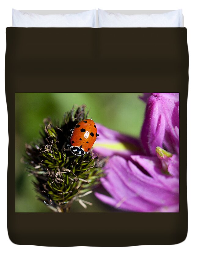 Ladybug Duvet Cover featuring the photograph Ladybug Delight by Julia McHugh