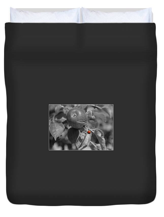  Duvet Cover featuring the photograph Ladybug by Florencia Damele