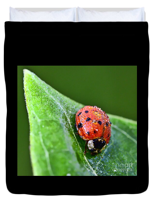 Ladybug Duvet Cover featuring the photograph Ladybug with Dew Drops by Kerri Farley