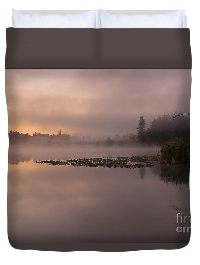 Lake Cassidy Duvet Cover featuring the photograph Lake Marsh by Jim Corwin
