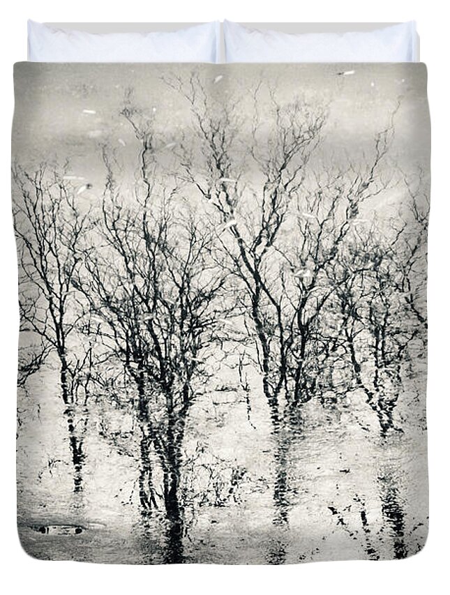 Landscape Duvet Cover featuring the photograph Landscape reflection forest by Dimitar Hristov