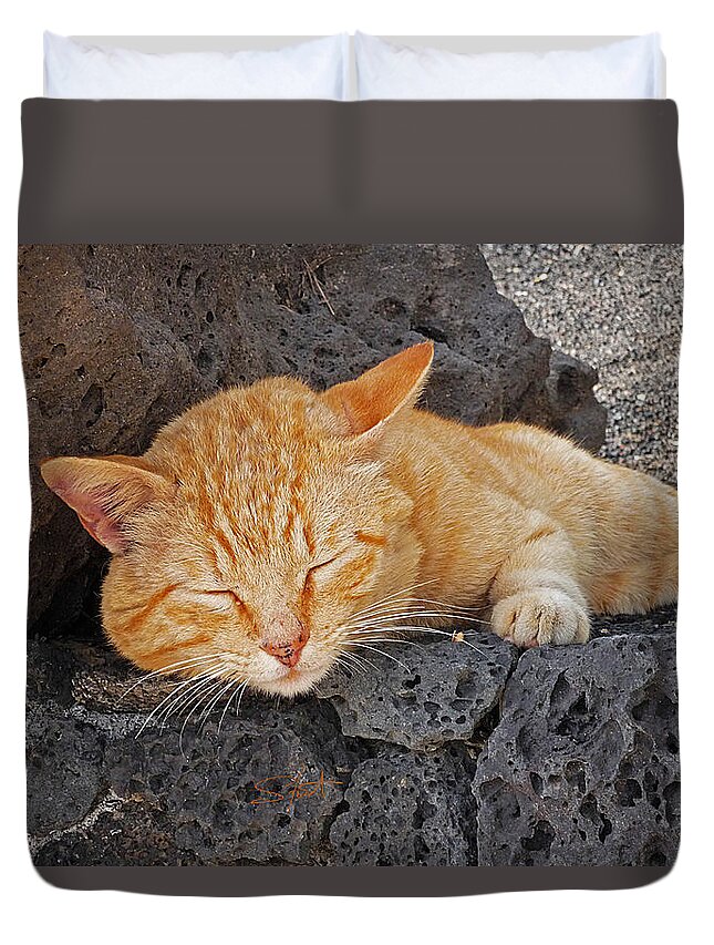 Cat Duvet Cover featuring the photograph Lanzarote Ginger by Charles Stuart