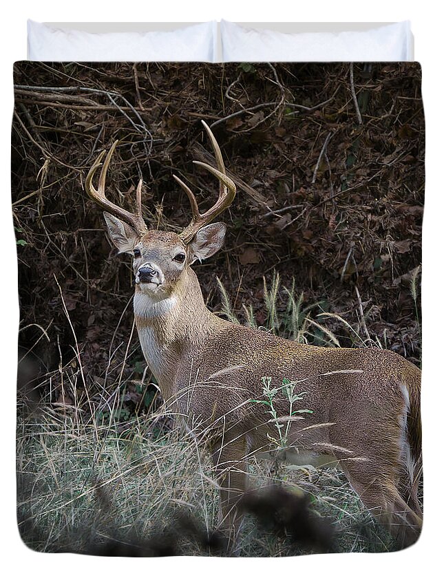 White Tail Deer Duvet Cover featuring the photograph Large buck by John Johnson
