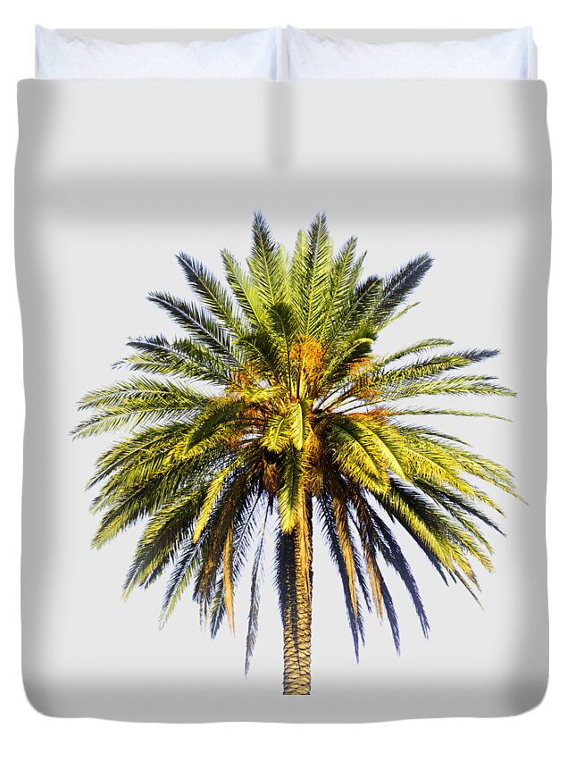 Prosperity; Peace; Middle East; Large; Palm Tree; Palm; Tree; Dates; Fruit; Mature; Ripe; Background; Oasis; Haven; Psi; Idr; Square Duvet Cover featuring the photograph Large palm tree with dates by Ilan Rosen