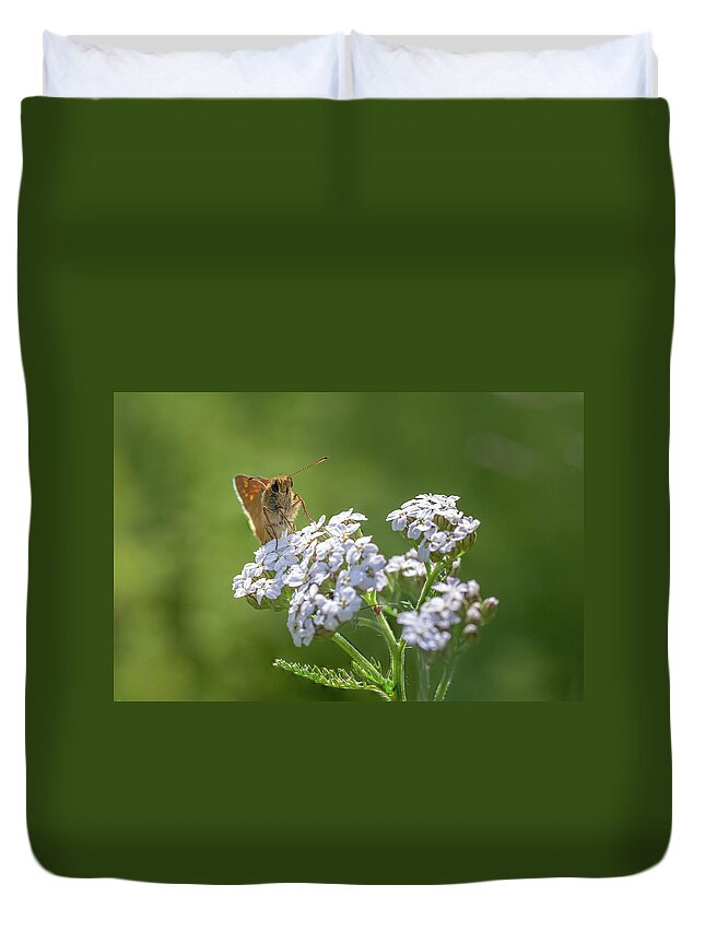 Background Duvet Cover featuring the photograph Large Skipper on a Flower by Tim Abeln