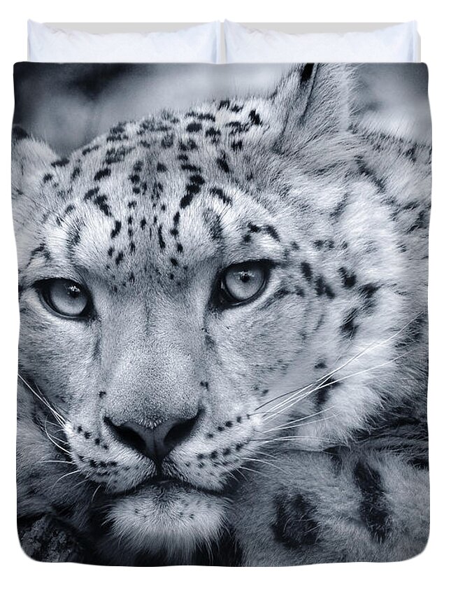 Snow Leopard Duvet Cover featuring the photograph Large Snow Leopard Portrait by Chris Boulton
