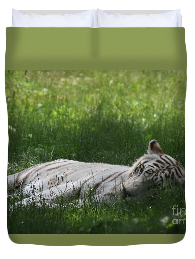 Tiger Duvet Cover featuring the photograph Large White Bengal Tiger Laying in the Grass by DejaVu Designs