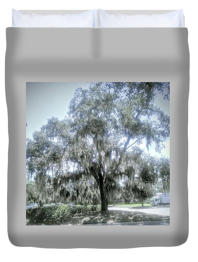 Tree. Florida Duvet Cover featuring the photograph Largo's Spanish Moss by Suzanne Berthier