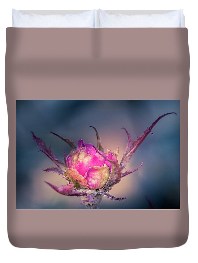 Flower Duvet Cover featuring the photograph Last Color of Summer by Allin Sorenson