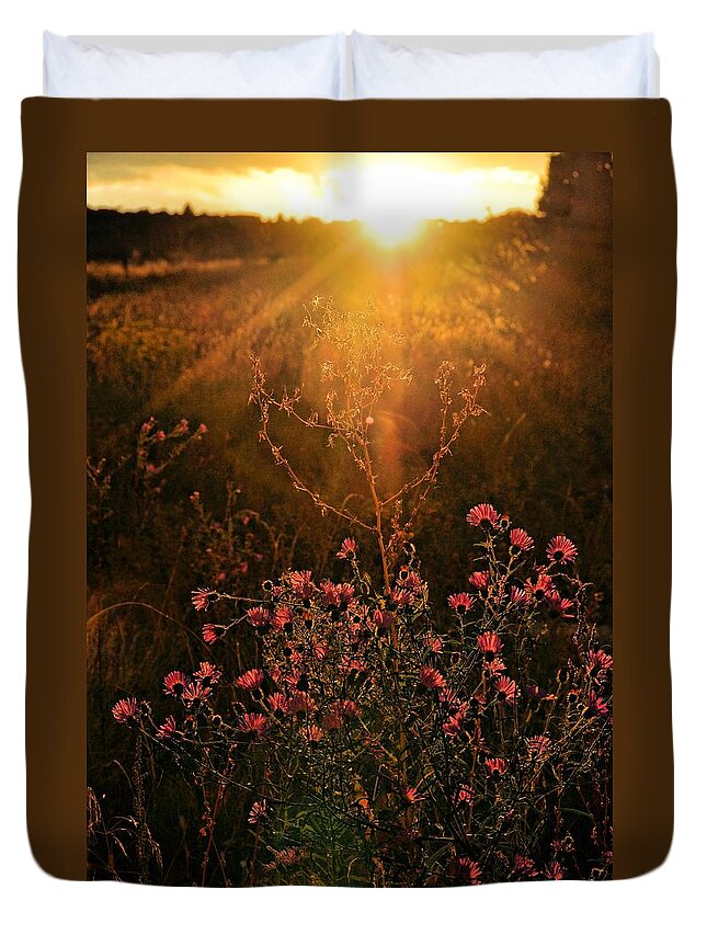Sunsets Duvet Cover featuring the photograph Last Glimpse Of Light by Jan Amiss Photography