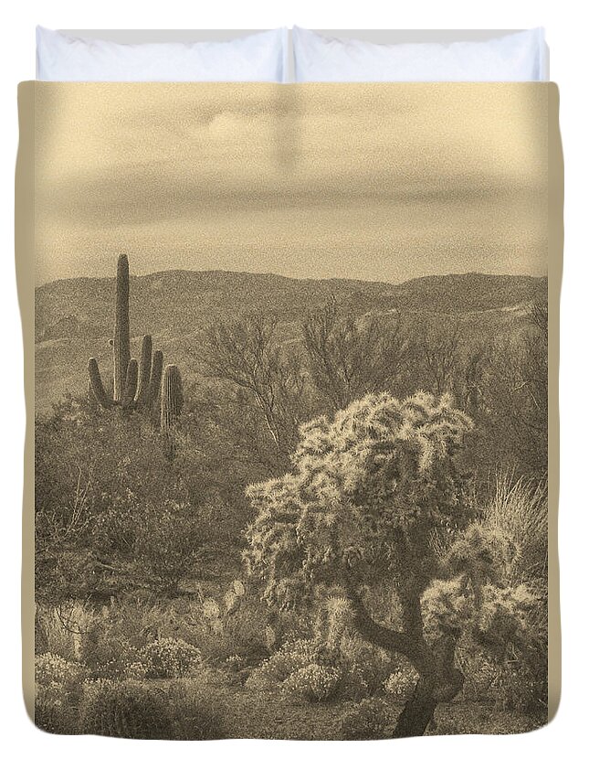 Teddy Bear Cholla Duvet Cover featuring the photograph Last Light before Night ant by Theo O'Connor