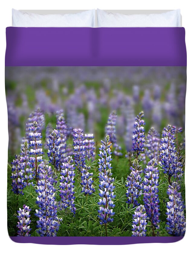 Porter Ranch Duvet Cover featuring the photograph Last Lupines of Porter Ranch by Lynn Bauer