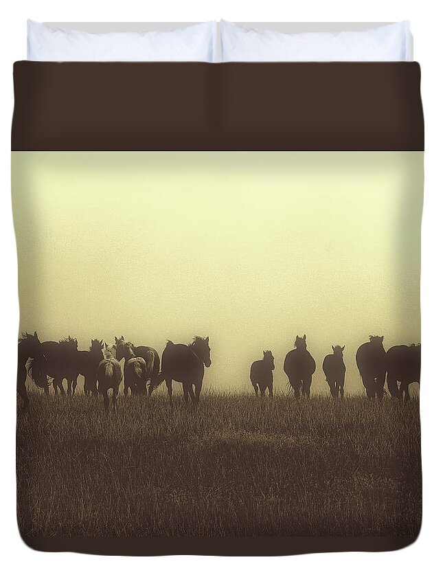 Haze Duvet Cover featuring the photograph Last Run at Dusk by Amanda Smith