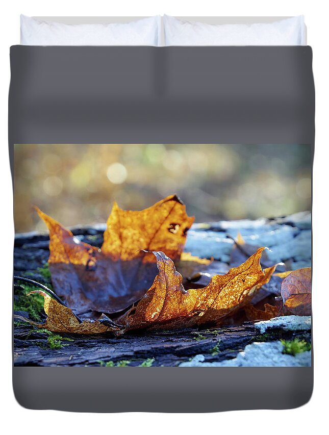 Finland Duvet Cover featuring the photograph Late Fall colors by Jouko Lehto