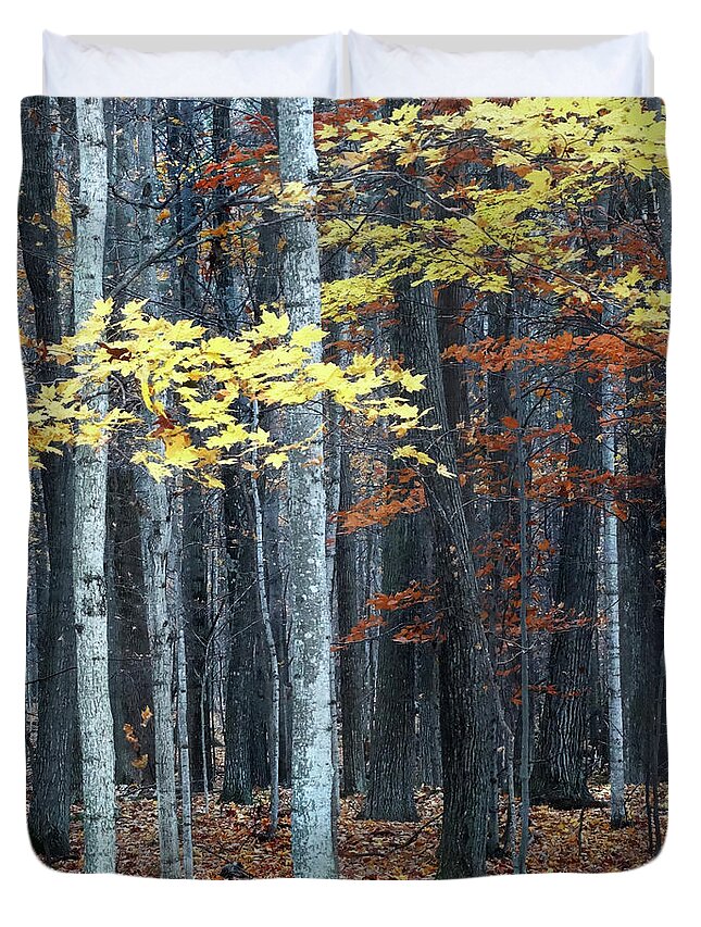 Fall Duvet Cover featuring the photograph Late Fall in the Woods by David T Wilkinson