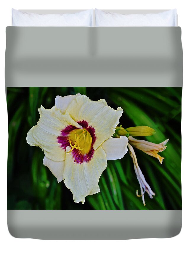 Daylily Duvet Cover featuring the photograph Late July White Daylily by Janis Senungetuk