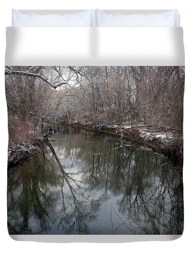 03.04.16_a Img1881 Duvet Cover featuring the photograph Late Winter in Philly by Dorin Adrian Berbier