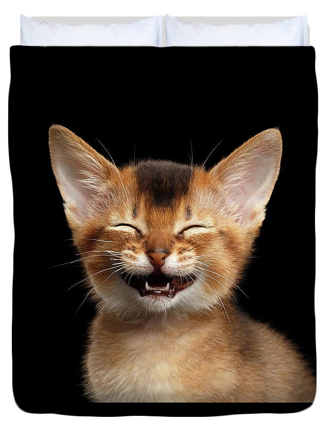 Kitten Duvet Cover featuring the photograph Laughing Kitten by Sergey Taran