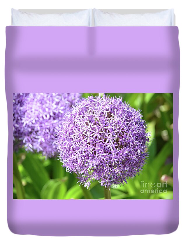 Allium Duvet Cover featuring the photograph Lavender Allium Flowers by DejaVu Designs