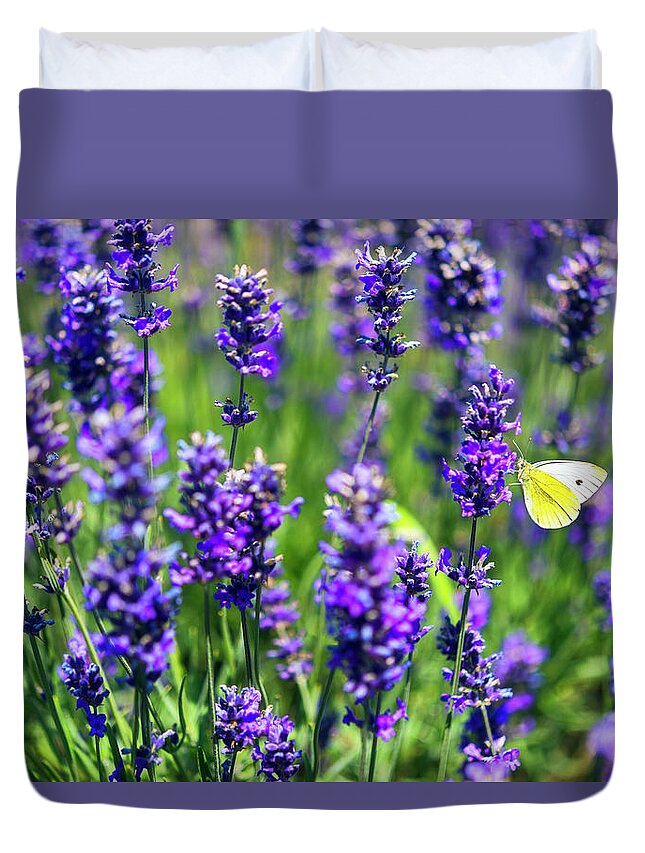 Butterfly Duvet Cover featuring the photograph Lavender and the Heart by Ryan Manuel