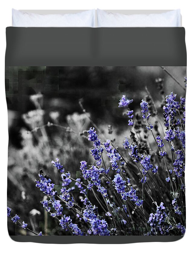 Garden Duvet Cover featuring the photograph Lavender B and W by April Burton