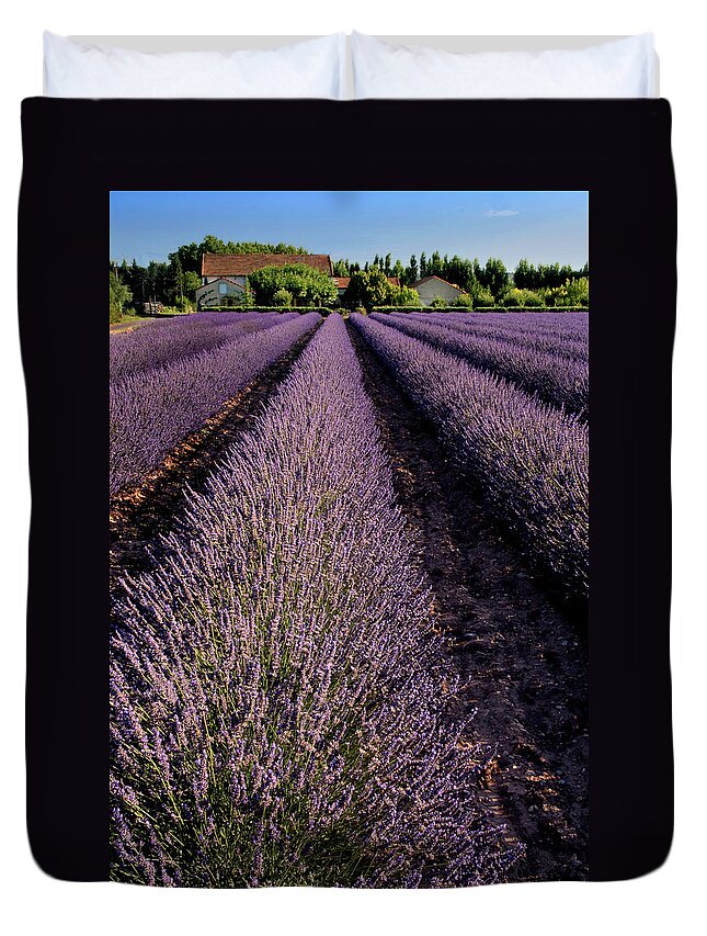 Lavender Duvet Cover featuring the photograph Lavender Field Provence France by Dave Mills