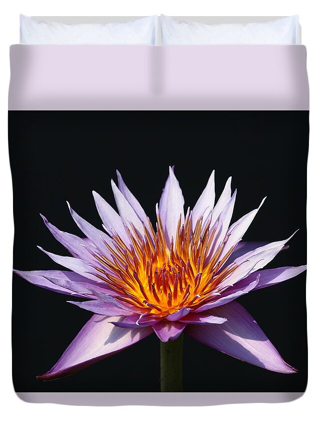  Duvet Cover featuring the photograph Lavender Fire 1 by Ron Monsour