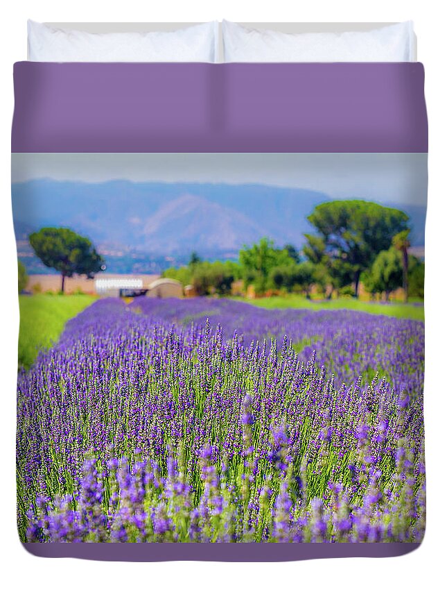 California Duvet Cover featuring the photograph Lavender by Peter Tellone