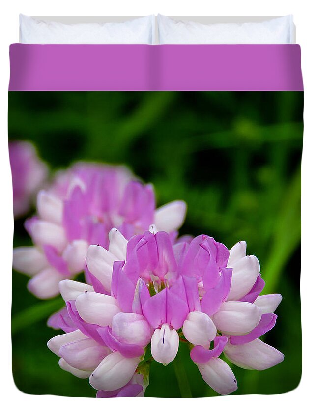  Robinson Nature Center Duvet Cover featuring the photograph Lavender White by Kathi Isserman