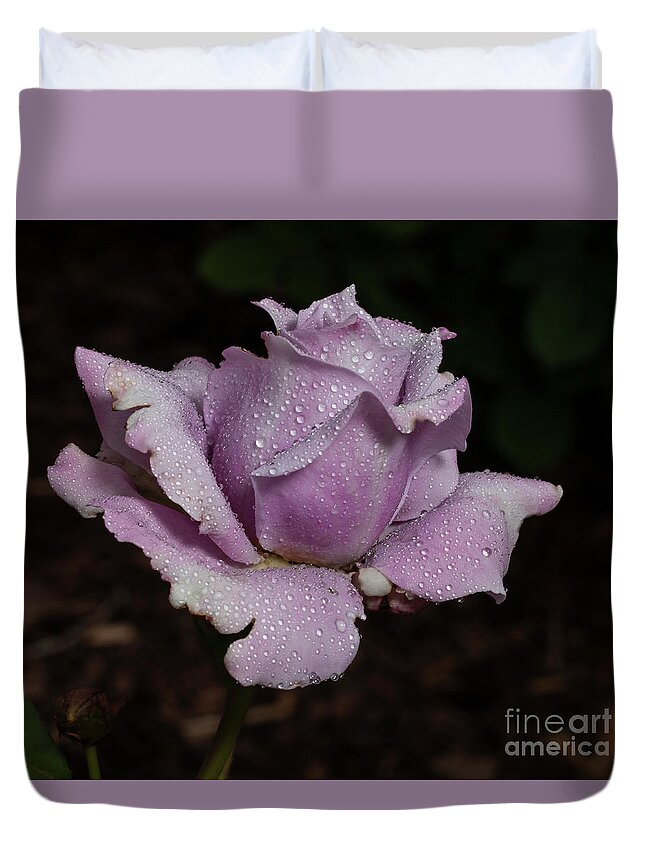 Rose Duvet Cover featuring the photograph Lavendrous by Doug Norkum