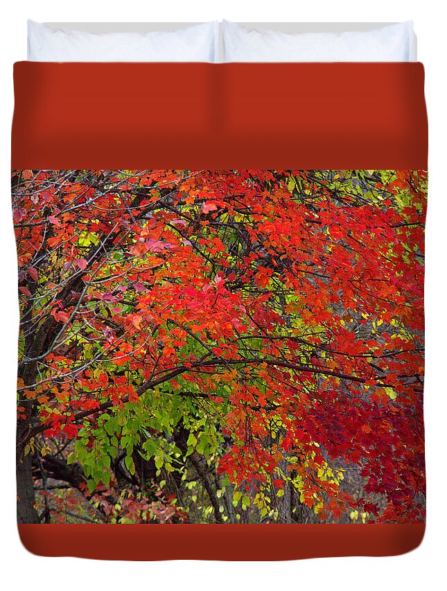 Layers Duvet Cover featuring the photograph Layers by Edward Smith