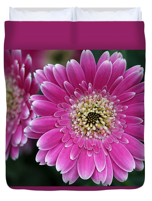 Flower Duvet Cover featuring the photograph Layers Of Spring by Pamela Critchlow