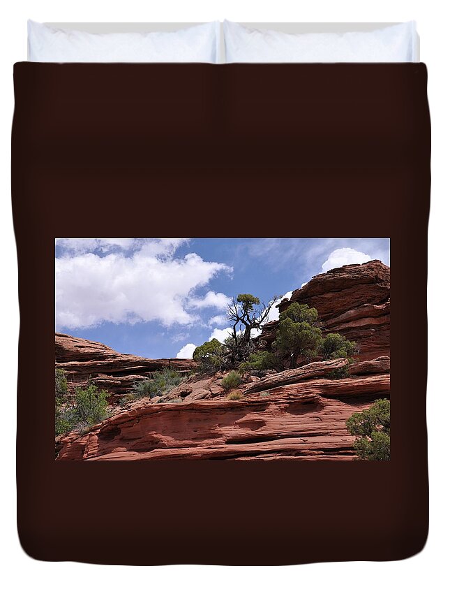 Canyonlands National Park Duvet Cover featuring the photograph Layers Upon Layers by Frank Madia