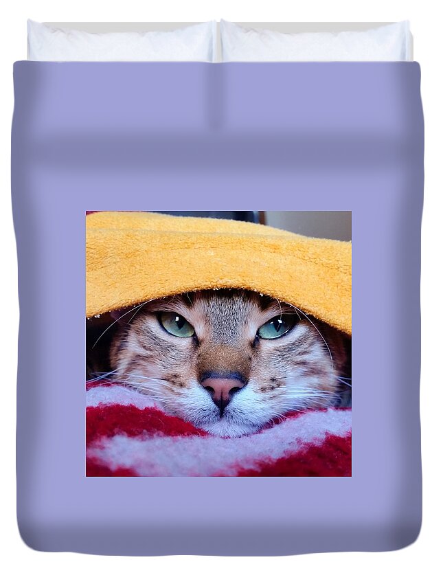 Cat Duvet Cover featuring the photograph Lazy by Ezgi Turkmen