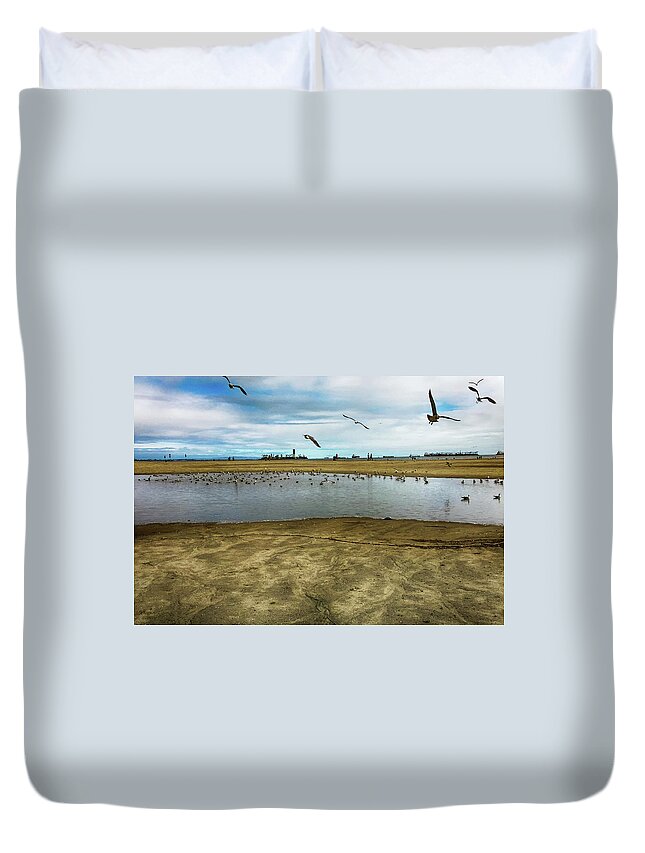 Seagulls Duvet Cover featuring the photograph LB Seagull Pond by Joseph Hollingsworth