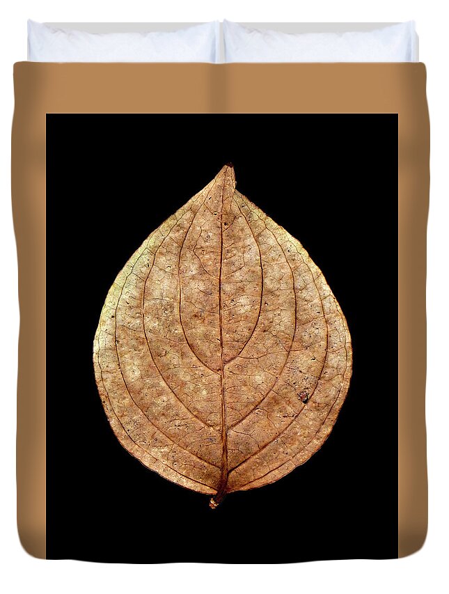 Leaf Duvet Cover featuring the photograph Leaf 12 by David J Bookbinder