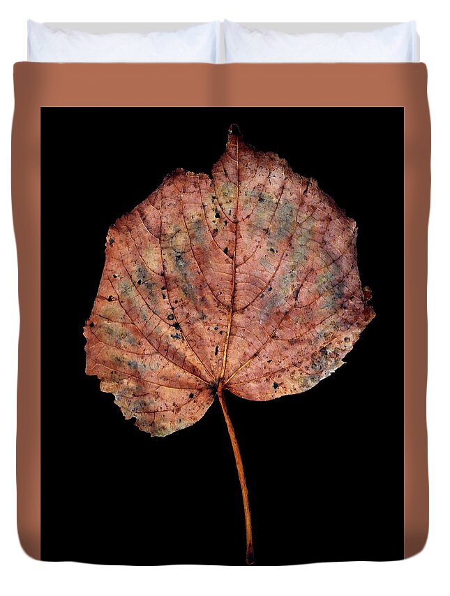 Leaf Duvet Cover featuring the photograph Leaf 8 by David J Bookbinder