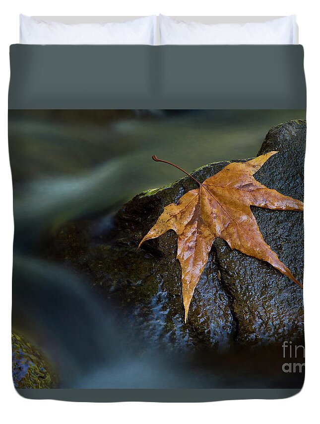 Fall Foliage Duvet Cover featuring the photograph Leaf on a rock by Bryan Keil