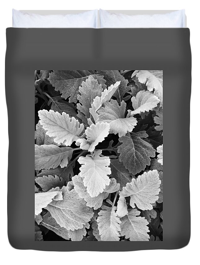 Contrast Duvet Cover featuring the photograph Leafy Contrast B W by David T Wilkinson