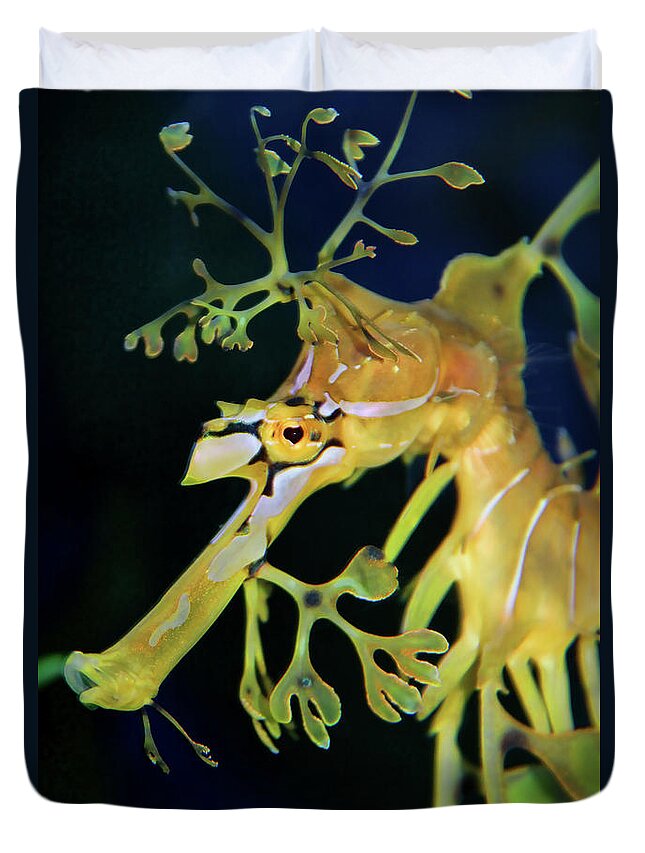 Leafy Sea Dragon Duvet Cover featuring the photograph Leafy Sea Dragon by Mariola Bitner
