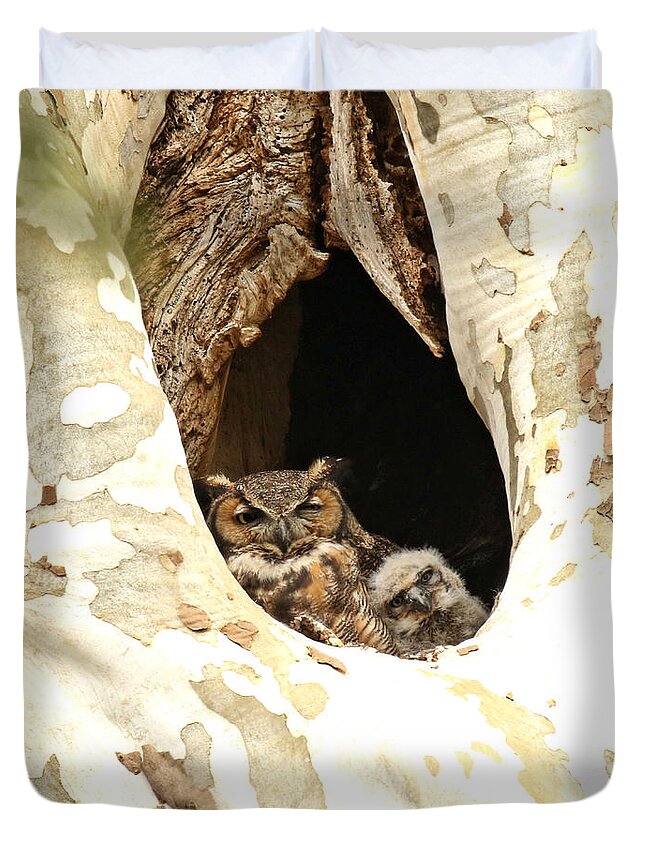 Great Horned Owl Duvet Cover featuring the photograph Lean on me by Heather King